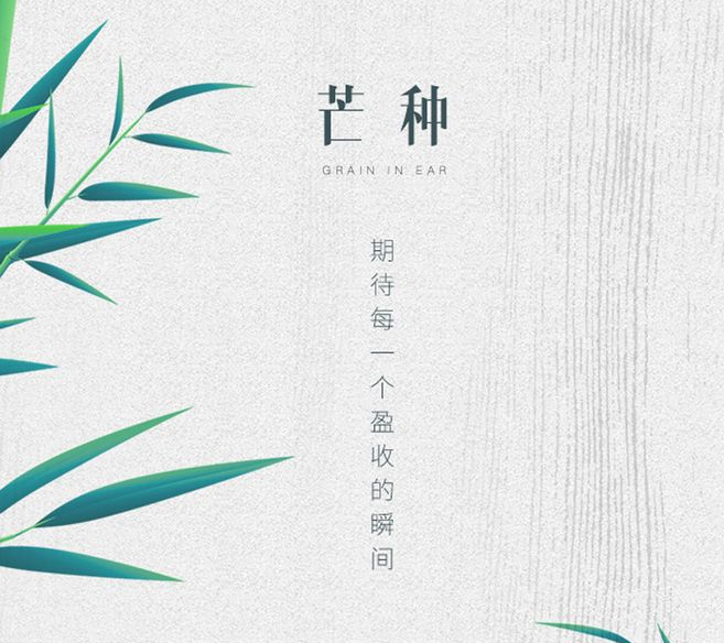 15710199082949.jpg e70dded60571eff956dfa6ef2f83a19c94c8d6cc13af3f-cHFF1C_fw658.jpg