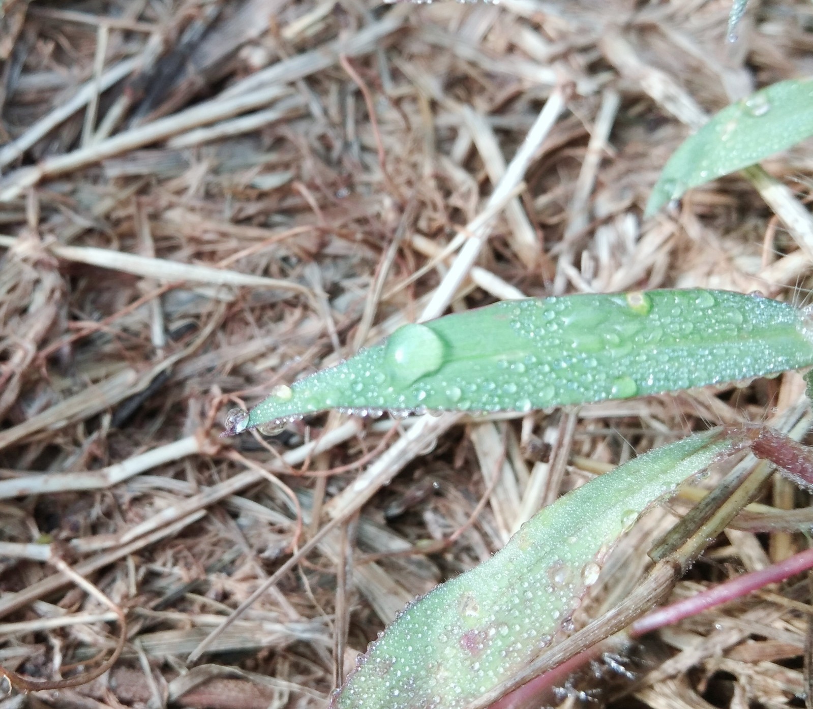 15710398279128.jpg 微信圖片_20191008082441.jpg