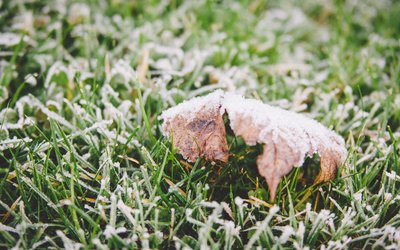 霜降｜ 秋將逝，冬將至