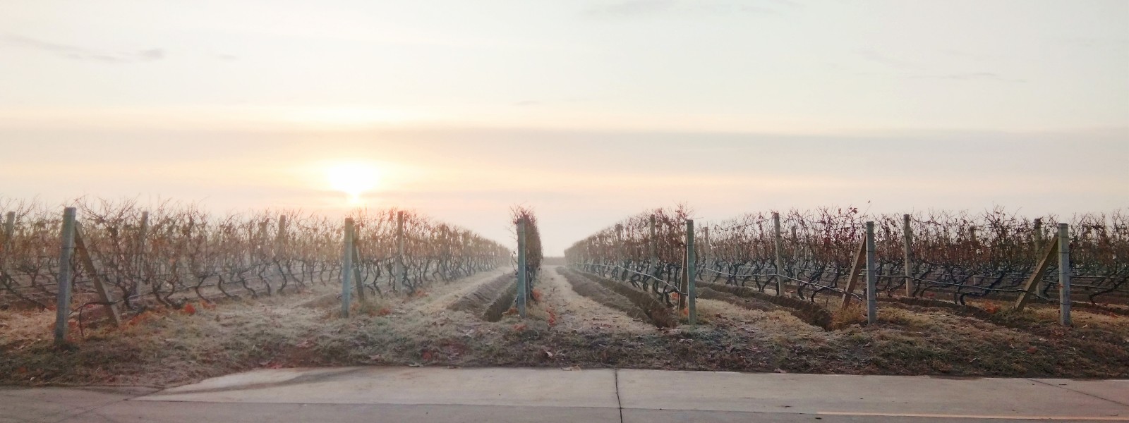 15756973987609.jpg 微信圖片_20191206100736.jpg