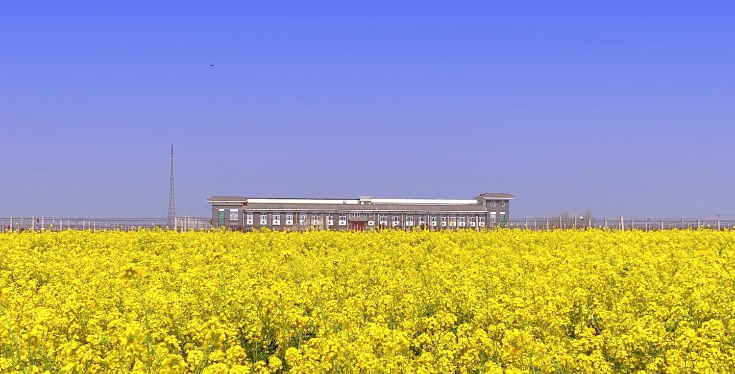 15857233597415.jpg 微信圖片_20200328085115_副本.jpg