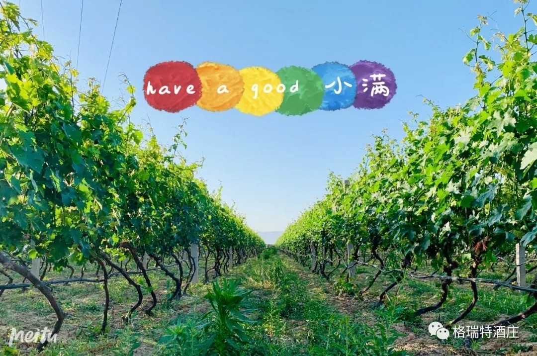 15903106495059.jpg 640.webp.jpg