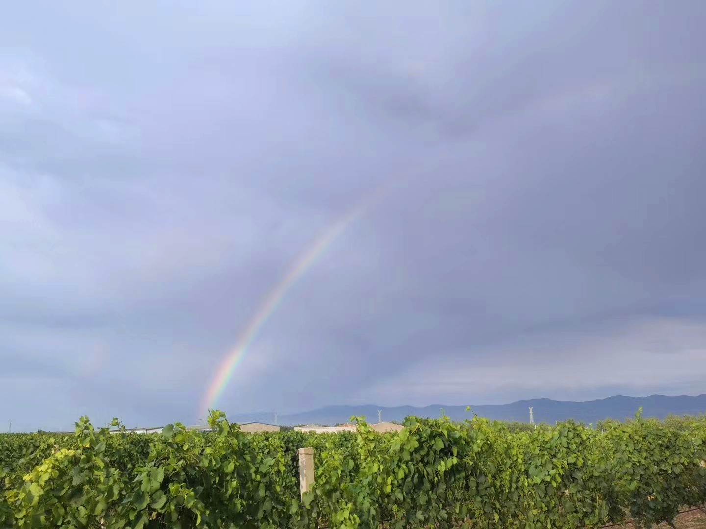 15997863034074.jpg 微信圖片_20200910163943.jpg