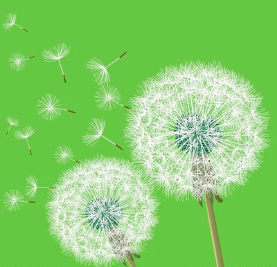 16003322009282.jpg t0181881c496307f41a.jpg