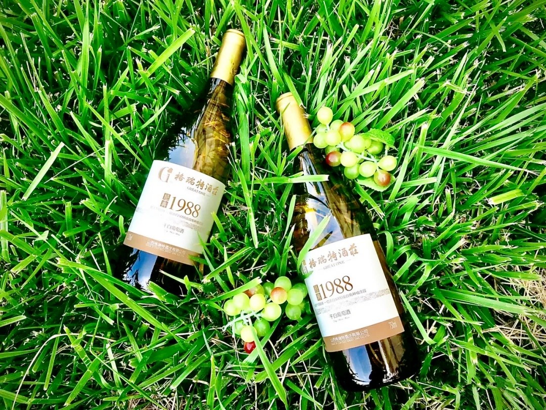 16315005138823.jpg 640.webp (9).jpg