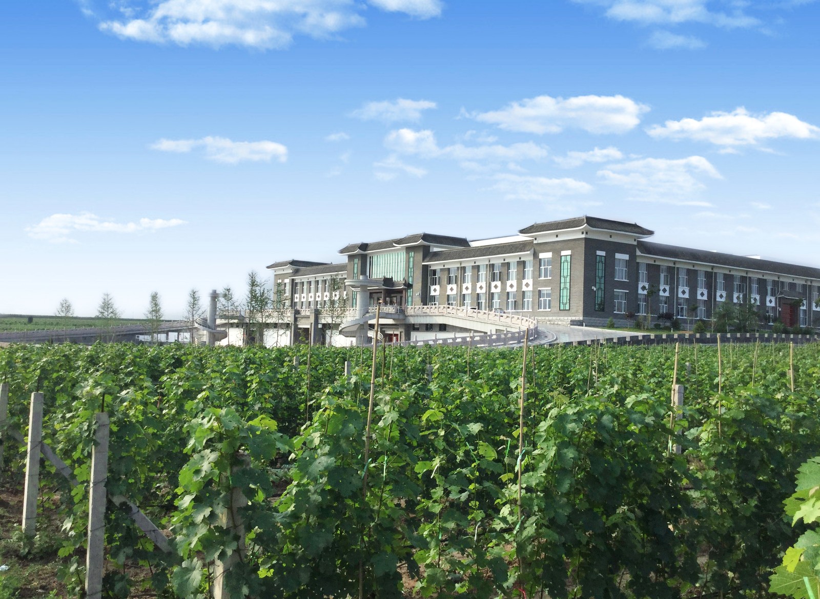 16327046367276.jpg 2.jpg