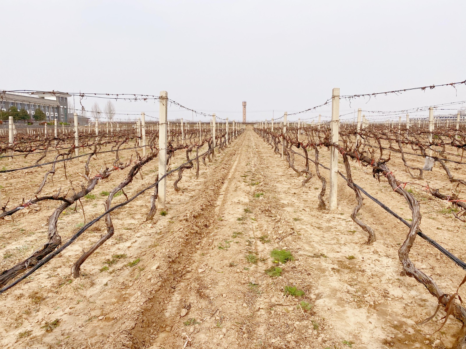 16479114958154.jpg 微信圖片_20220319112252.jpg