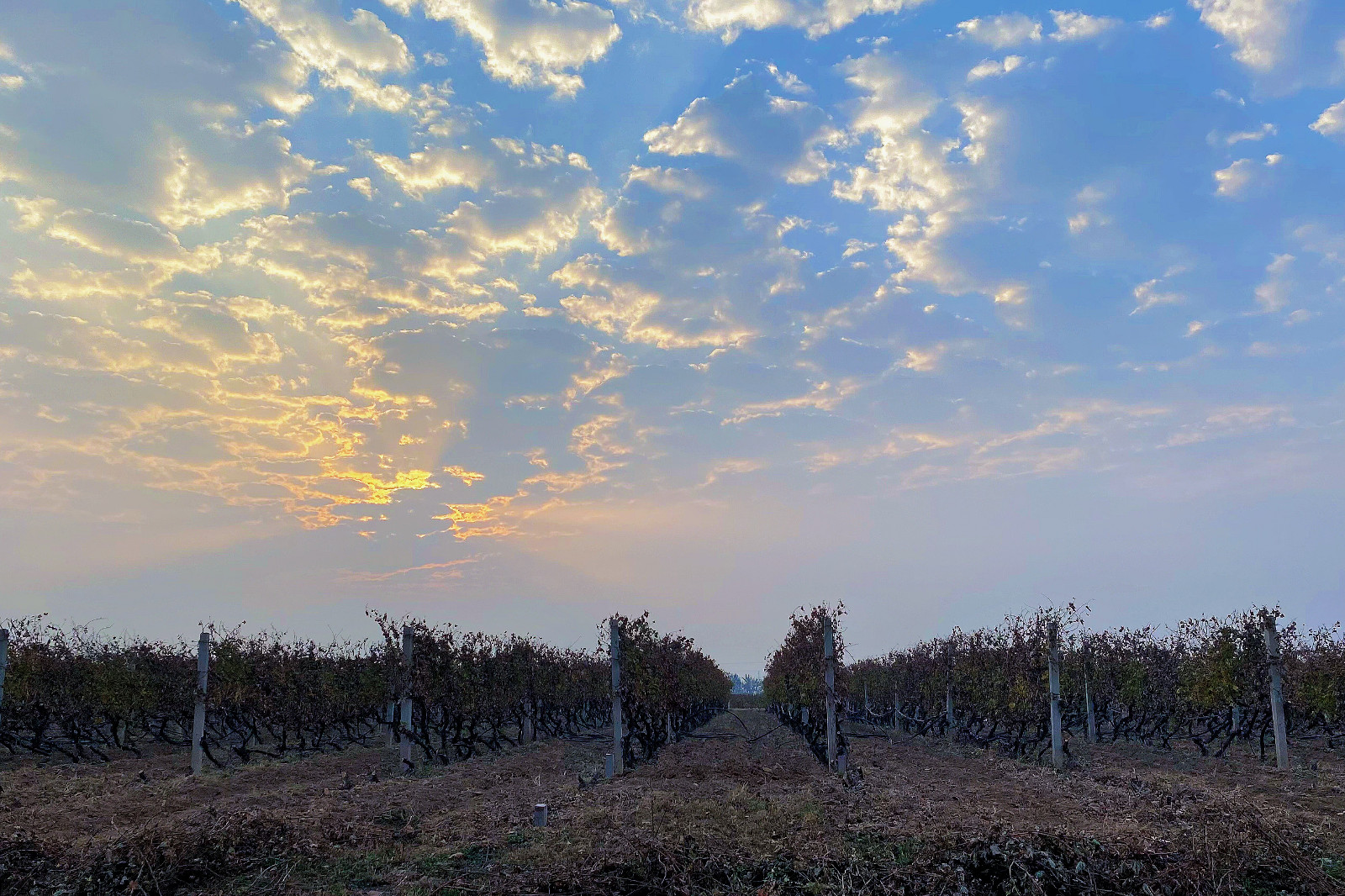 16682183299799.jpg 5cb60e54a82319b10715d0a488bf9ab.jpg