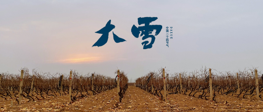 大雪 ▎世界留白，天地靜美